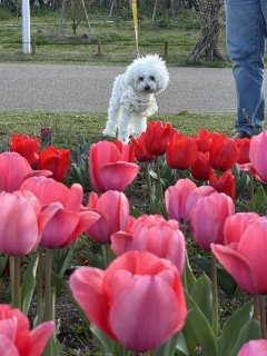 �n�j�[���ꏏ��